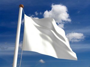 פעם סיפרו לנו שדגל המדינה הוא כחול ולבן...